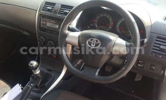 Buy Used Toyota Corolla White Car in Beitbridge in Matabeleland South Buy Used Toyota Corolla White Car in Beitbridge in Matabeleland South