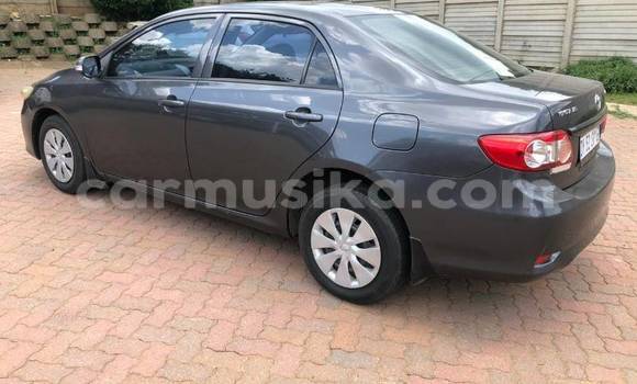 Nunua Ilio tumika Toyota Corolla Fedha Gari ndani ya Beitbridge nchini Matabeleland Kusini