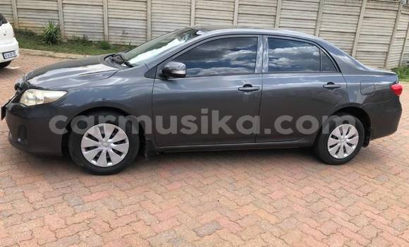 Buy Used Toyota Corolla Silver Car in Beitbridge in Matabeleland South Buy Used Toyota Corolla Silver Car in Beitbridge in Matabeleland South