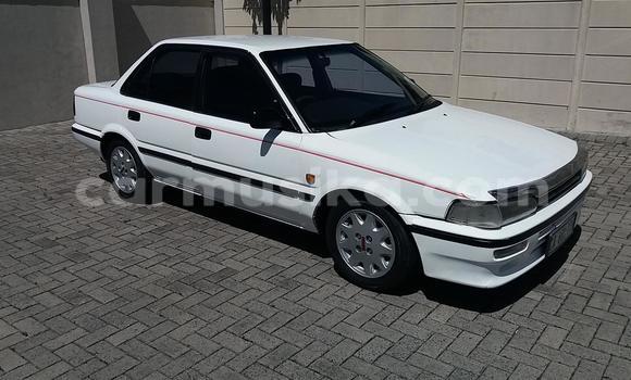 Buy Used Toyota Sprinter White Car in Beitbridge in Matabeleland South Buy Used Toyota Sprinter White Car in Beitbridge in Matabeleland South