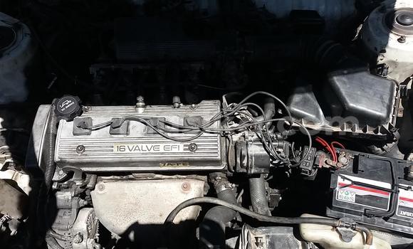 Buy Used Toyota Sprinter White Car in Beitbridge in Matabeleland South Buy Used Toyota Sprinter White Car in Beitbridge in Matabeleland South