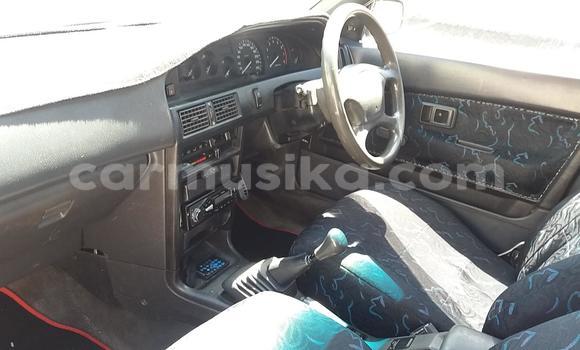 Buy Used Toyota Sprinter White Car in Beitbridge in Matabeleland South Buy Used Toyota Sprinter White Car in Beitbridge in Matabeleland South