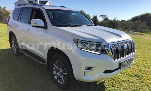 Buy Used Toyota Land Cruiser Prado White Car in Beitbridge in Matabeleland South