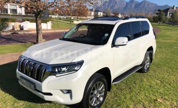 Nunua Ilio tumika Toyota Land Cruiser Prado Nyeupe Gari ndani ya Beitbridge nchini Matabeleland Kusini Nunua Ilio tumika Toyota Land Cruiser Prado Nyeupe Gari ndani ya Beitbridge nchini Matabeleland Kusini
