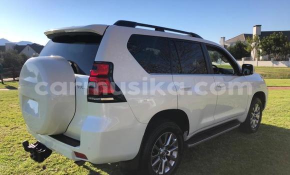 Nunua Ilio tumika Toyota Land Cruiser Prado Nyeupe Gari ndani ya Beitbridge nchini Matabeleland Kusini Nunua Ilio tumika Toyota Land Cruiser Prado Nyeupe Gari ndani ya Beitbridge nchini Matabeleland Kusini