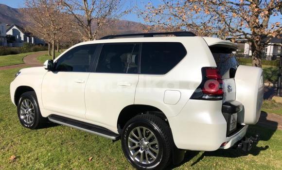 Nunua Ilio tumika Toyota Land Cruiser Prado Nyeupe Gari ndani ya Beitbridge nchini Matabeleland Kusini Nunua Ilio tumika Toyota Land Cruiser Prado Nyeupe Gari ndani ya Beitbridge nchini Matabeleland Kusini