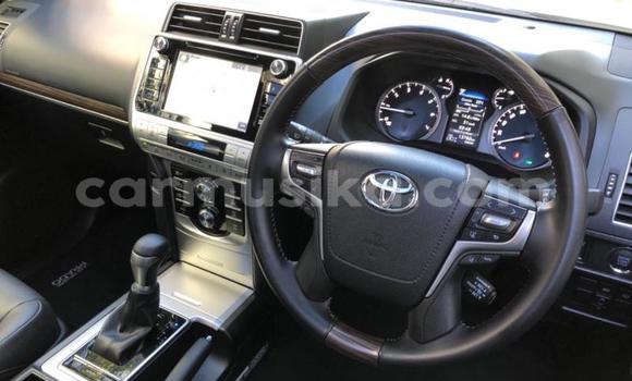 Nunua Ilio tumika Toyota Land Cruiser Prado Nyeupe Gari ndani ya Beitbridge nchini Matabeleland Kusini Nunua Ilio tumika Toyota Land Cruiser Prado Nyeupe Gari ndani ya Beitbridge nchini Matabeleland Kusini