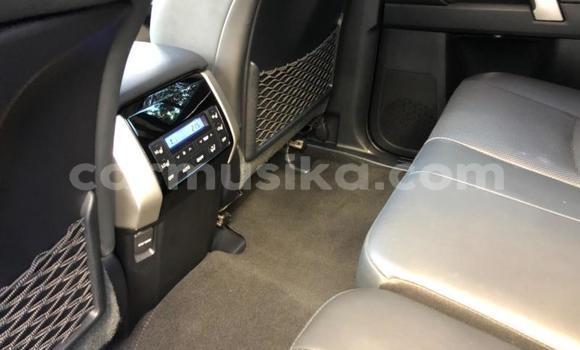 Nunua Ilio tumika Toyota Land Cruiser Prado Nyeupe Gari ndani ya Beitbridge nchini Matabeleland Kusini Nunua Ilio tumika Toyota Land Cruiser Prado Nyeupe Gari ndani ya Beitbridge nchini Matabeleland Kusini