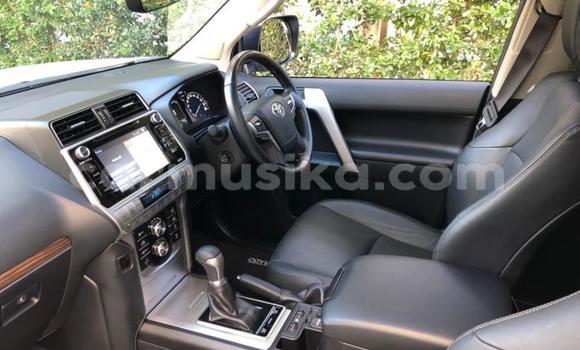 Nunua Ilio tumika Toyota Land Cruiser Prado Nyeupe Gari ndani ya Beitbridge nchini Matabeleland Kusini Nunua Ilio tumika Toyota Land Cruiser Prado Nyeupe Gari ndani ya Beitbridge nchini Matabeleland Kusini