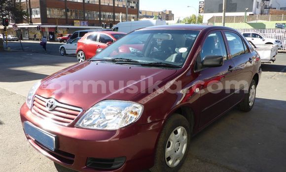 Nunua Ilio tumika Toyota Corolla Nyingine Gari ndani ya Beitbridge nchini Matabeleland Kusini Nunua Ilio tumika Toyota Corolla Nyingine Gari ndani ya Beitbridge nchini Matabeleland Kusini