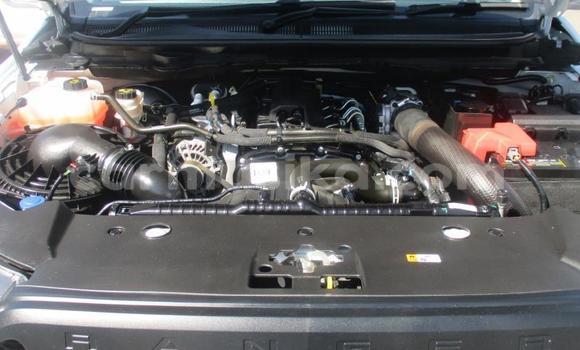 Tenga Tsaru Ford Ranger Chena Mota in Beitbridge in Matabeleland South Tenga Tsaru Ford Ranger Chena Mota in Beitbridge in Matabeleland South