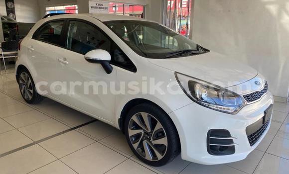 Buy Used Kia Rio White Car in Beitbridge in Matabeleland South