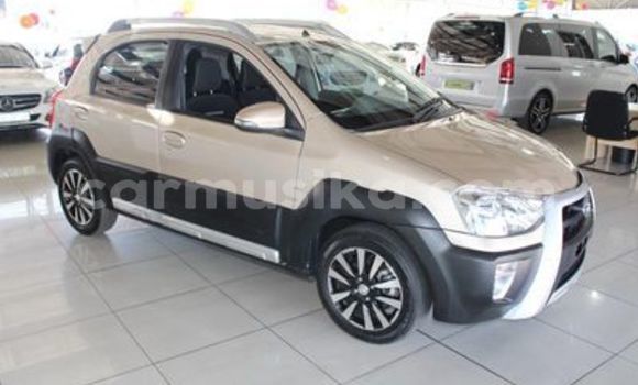 Tenga Tsaru Toyota Etios Bhurawuni Mota in Beitbridge in Matabeleland South