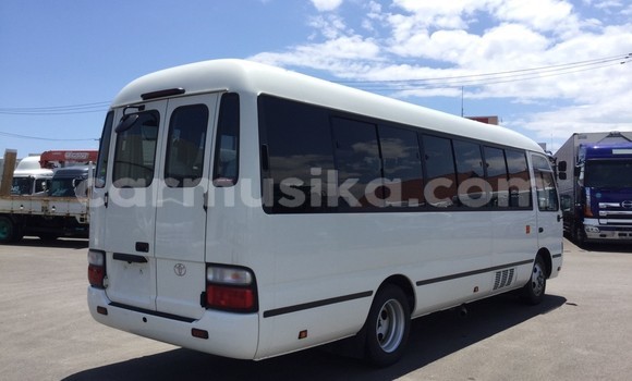 Acheter Occasion Voiture Toyota Coaster Autre à Beitbridge, Matabeleland South Acheter Occasion Voiture Toyota Coaster Autre à Beitbridge, Matabeleland South
