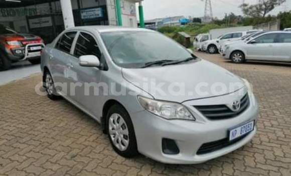 Nunua Ilio tumika Toyota Corolla Bluu Gari ndani ya Beitbridge nchini Matabeleland Kusini