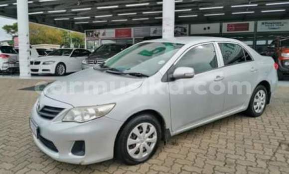 Buy Used Toyota Corolla Blue Car in Beitbridge in Matabeleland South Buy Used Toyota Corolla Blue Car in Beitbridge in Matabeleland South