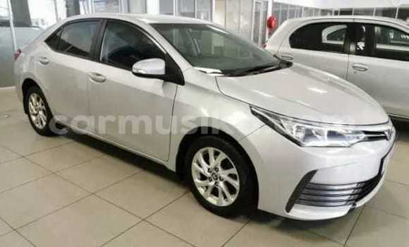 Acheter Occasion Voiture Toyota Corolla Gris à Beitbridge, Matabeleland South