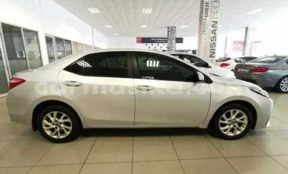 Acheter Occasion Voiture Toyota Corolla Gris à Beitbridge, Matabeleland South Acheter Occasion Voiture Toyota Corolla Gris à Beitbridge, Matabeleland South