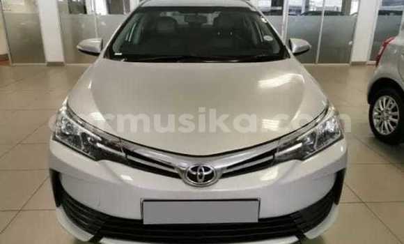 Acheter Occasion Voiture Toyota Corolla Gris à Beitbridge, Matabeleland South Acheter Occasion Voiture Toyota Corolla Gris à Beitbridge, Matabeleland South