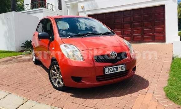 Tenga Tsaru Toyota Yaris Zvimwe Mota in Beitbridge in Matabeleland South Tenga Tsaru Toyota Yaris Zvimwe Mota in Beitbridge in Matabeleland South