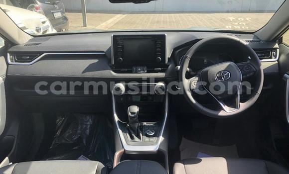 Buy Used Toyota RAV4 White Car in Beitbridge in Matabeleland South Buy Used Toyota RAV4 White Car in Beitbridge in Matabeleland South