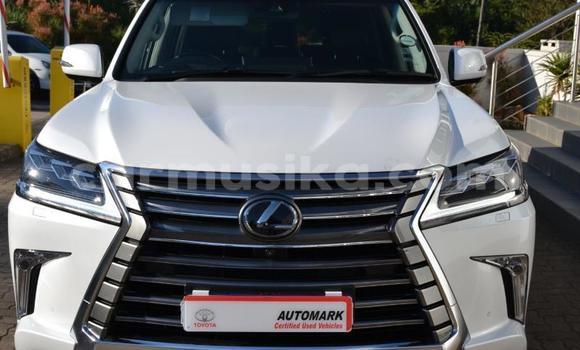 Buy Used Lexus LX 570 White Car in Beitbridge in Matabeleland South Buy Used Lexus LX 570 White Car in Beitbridge in Matabeleland South