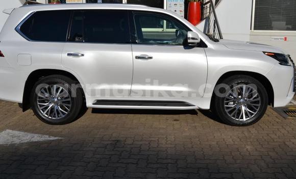 Buy Used Lexus LX 570 White Car in Beitbridge in Matabeleland South Buy Used Lexus LX 570 White Car in Beitbridge in Matabeleland South