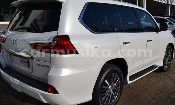 Buy Used Lexus LX 570 White Car in Beitbridge in Matabeleland South Buy Used Lexus LX 570 White Car in Beitbridge in Matabeleland South