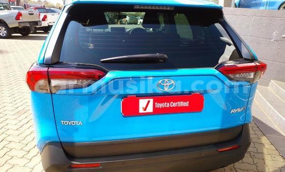 Buy Used Toyota RAV4 Blue Car in Beitbridge in Matabeleland South Buy Used Toyota RAV4 Blue Car in Beitbridge in Matabeleland South