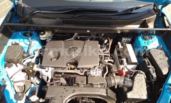 Buy Used Toyota RAV4 Blue Car in Beitbridge in Matabeleland South Buy Used Toyota RAV4 Blue Car in Beitbridge in Matabeleland South