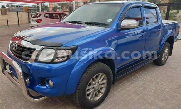 Acheter Occasion Voiture Toyota Hilux Bleu à Beitbridge, Matabeleland South Acheter Occasion Voiture Toyota Hilux Bleu à Beitbridge, Matabeleland South