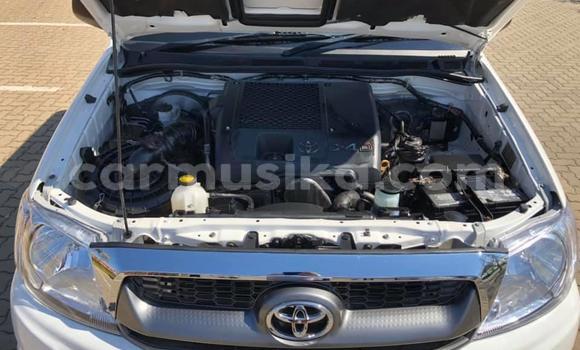 Acheter Occasion Voiture Toyota Hilux Blanc à Beitbridge, Matabeleland South Acheter Occasion Voiture Toyota Hilux Blanc à Beitbridge, Matabeleland South