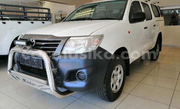 Tenga Tsaru Toyota Hilux Chena Mota in Beitbridge in Matabeleland South Tenga Tsaru Toyota Hilux Chena Mota in Beitbridge in Matabeleland South