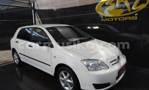 Tenga Tsaru Toyota Runx Chena Mota in Beitbridge in Matabeleland South