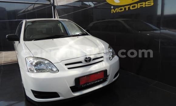 Buy Used Toyota Runx White Car in Beitbridge in Matabeleland South Buy Used Toyota Runx White Car in Beitbridge in Matabeleland South