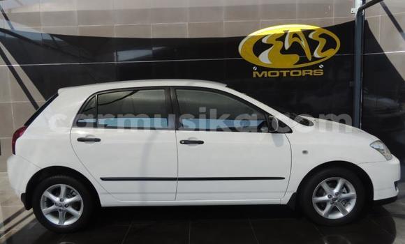 Buy Used Toyota Runx White Car in Beitbridge in Matabeleland South Buy Used Toyota Runx White Car in Beitbridge in Matabeleland South