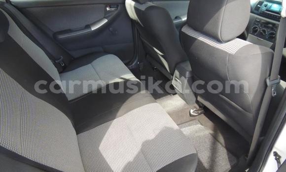 Buy Used Toyota Runx White Car in Beitbridge in Matabeleland South Buy Used Toyota Runx White Car in Beitbridge in Matabeleland South