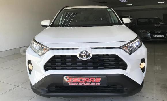 Tenga Tsaru Toyota RAV4 Chena Mota in Beitbridge in Matabeleland South Tenga Tsaru Toyota RAV4 Chena Mota in Beitbridge in Matabeleland South