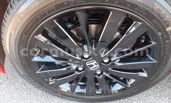 Tenga Tsaru Honda Jazz Chena Mota in Beitbridge in Matabeleland South Tenga Tsaru Honda Jazz Chena Mota in Beitbridge in Matabeleland South