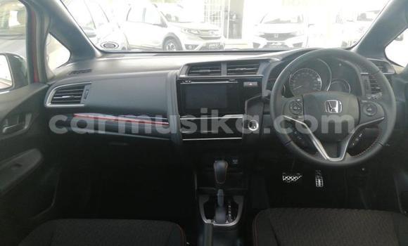 Tenga Tsaru Honda Jazz Zvimwe Mota in Beitbridge in Matabeleland South Tenga Tsaru Honda Jazz Zvimwe Mota in Beitbridge in Matabeleland South