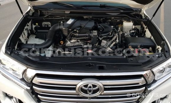 Tenga Imported Toyota Land Cruiser Chena Mota in Import - Dubai in Harare Tenga Imported Toyota Land Cruiser Chena Mota in Import - Dubai in Harare