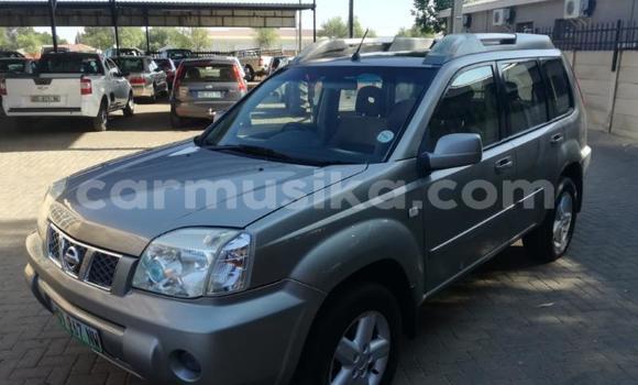 Buy Used Nissan X–Trail Silver Car in Beitbridge in Matabeleland South Buy Used Nissan X–Trail Silver Car in Beitbridge in Matabeleland South