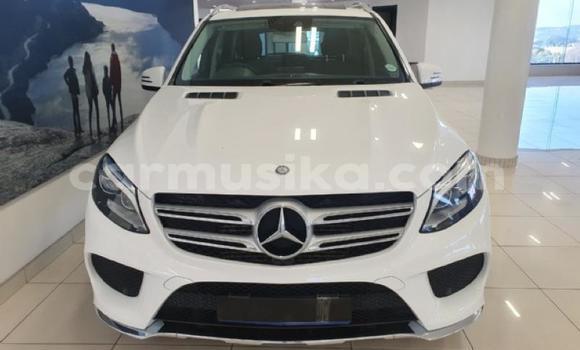 Tenga Tsaru Mercedes‒Benz AMG GLC Chena Mota in Beitbridge in Matabeleland South Tenga Tsaru Mercedes‒Benz AMG GLC Chena Mota in Beitbridge in Matabeleland South