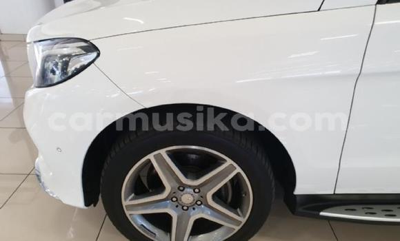 Tenga Tsaru Mercedes‒Benz AMG GLC Chena Mota in Beitbridge in Matabeleland South Tenga Tsaru Mercedes‒Benz AMG GLC Chena Mota in Beitbridge in Matabeleland South