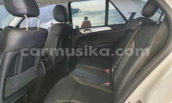 Tenga Tsaru Mercedes‒Benz AMG GLC Chena Mota in Beitbridge in Matabeleland South Tenga Tsaru Mercedes‒Benz AMG GLC Chena Mota in Beitbridge in Matabeleland South