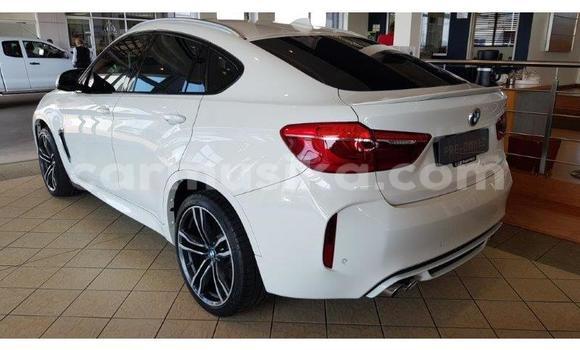 Tenga Tsaru BMW X6 Chena Mota in Beitbridge in Matabeleland South Tenga Tsaru BMW X6 Chena Mota in Beitbridge in Matabeleland South