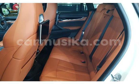 Tenga Tsaru BMW X6 Chena Mota in Beitbridge in Matabeleland South Tenga Tsaru BMW X6 Chena Mota in Beitbridge in Matabeleland South