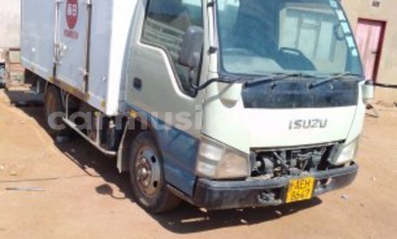 Nunua Ilio tumika Isuzu Elf Nyingine Lori ndani ya Bulawayo nchini Bulawayo