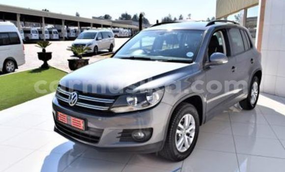 Buy Used Volkswagen Tiguan Silver Car in Beitbridge in Matabeleland South Buy Used Volkswagen Tiguan Silver Car in Beitbridge in Matabeleland South