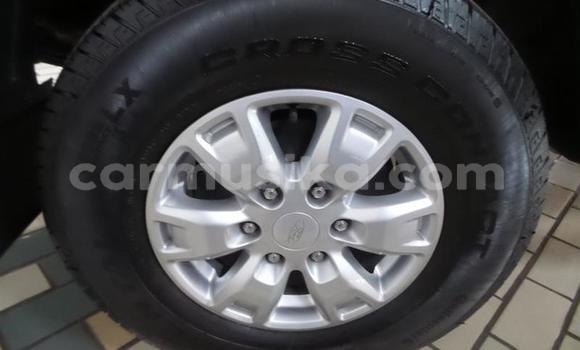 Tenga Tsaru Ford Ranger Chena Mota in Emerald Hill in Harare Tenga Tsaru Ford Ranger Chena Mota in Emerald Hill in Harare